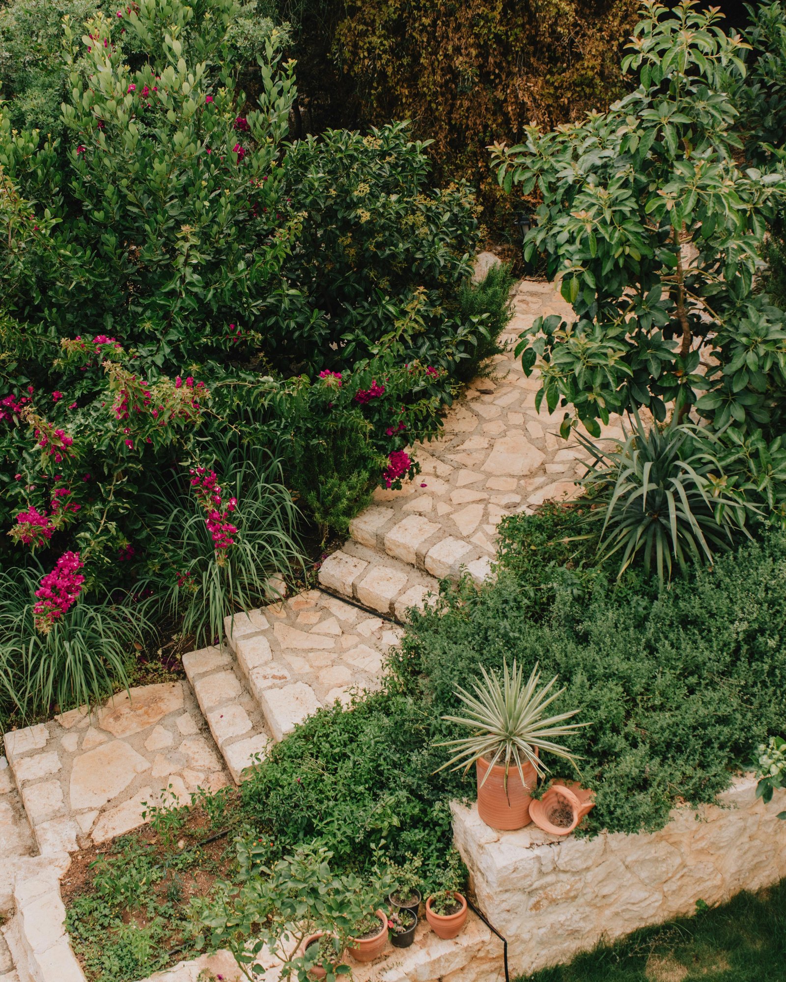 Aménager un jardin dans le Var