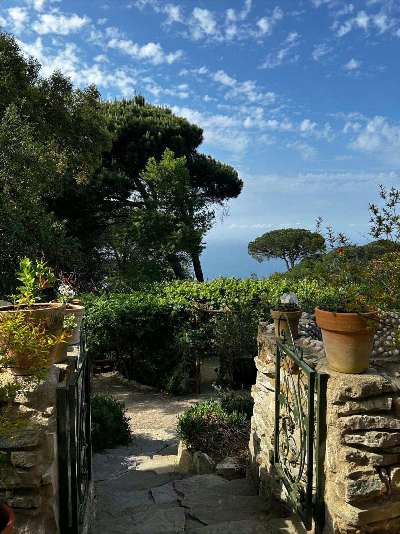 Entretien jardin méditerranéen