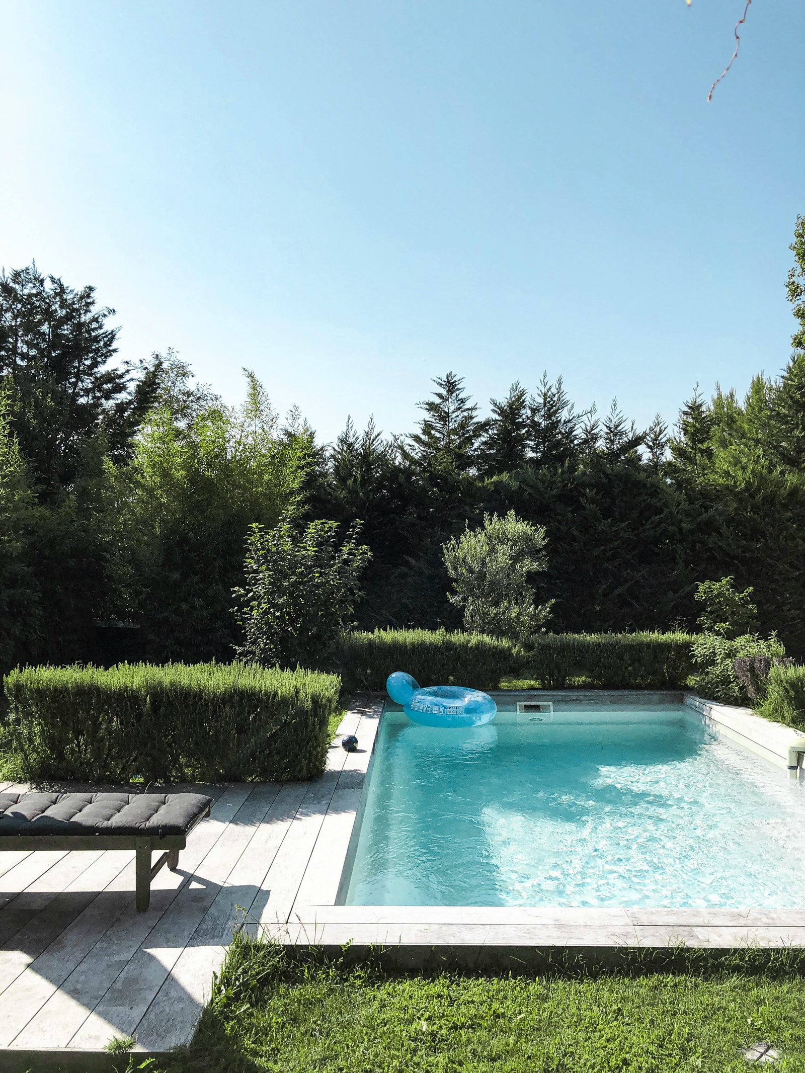 Aménagement piscine paysager