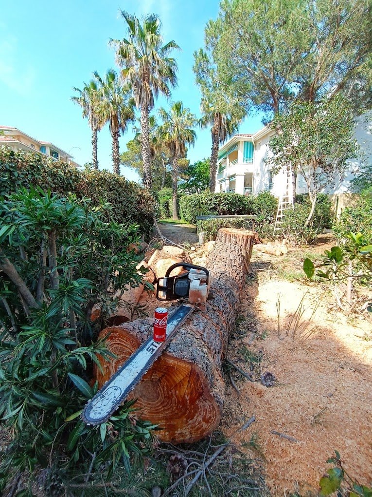 Réalisation PNG Jardins 2